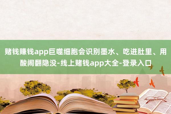 赌钱赚钱app巨噬细胞会识别墨水、吃进肚里、用酸闹翻隐没-线上赌钱app大全-登录入口