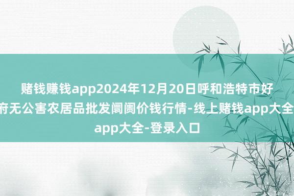 赌钱赚钱app2024年12月20日呼和浩特市好意思通首府无公害农居品批发阛阓价钱行情-线上赌钱app大全-登录入口